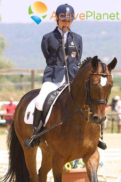 Paralympic Equestrian Training  